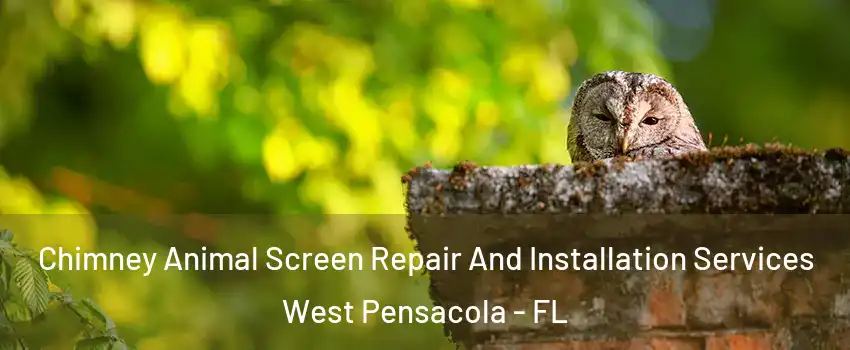  Chimney Animal Screen Repair And Installation Services West Pensacola - FL
