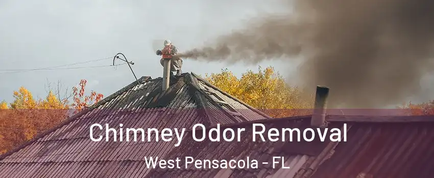  Chimney Odor Removal West Pensacola - FL