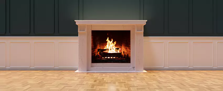 Napoleon Electric Fireplaces Inspection Service in West Pensacola, Florida