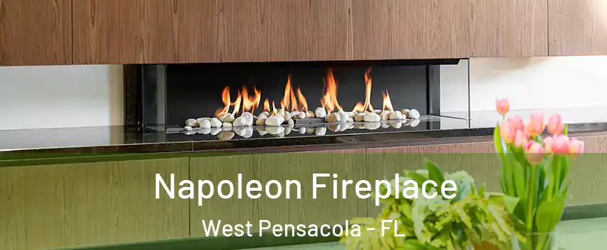  Napoleon Fireplace West Pensacola - FL